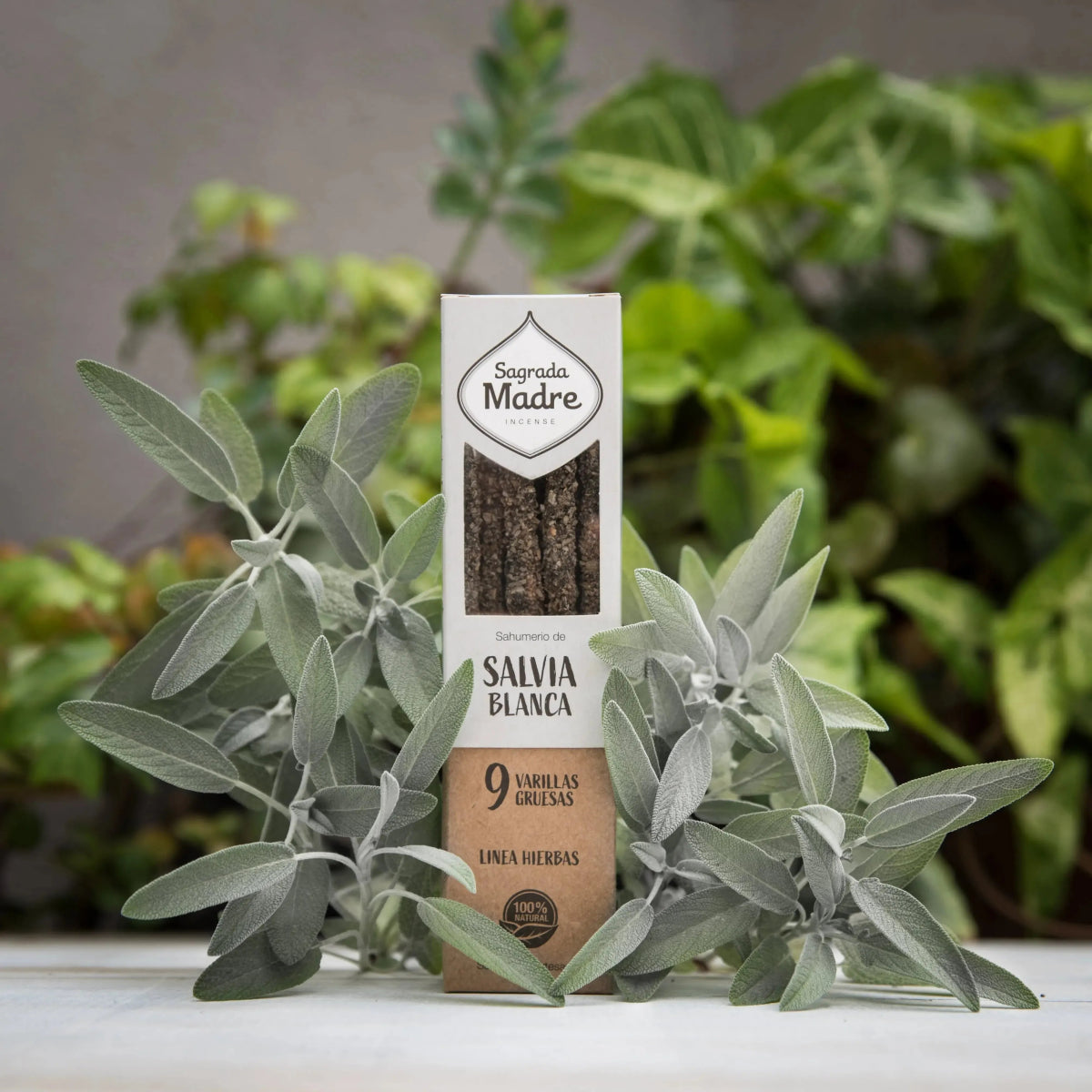 Incienso - Sahumerio de Salvia Blanca (9 varillas) - Brujy Magic