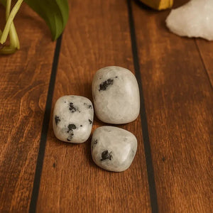 Rodado de Piedra Luna - Mineral de la intuición y la fertilidad